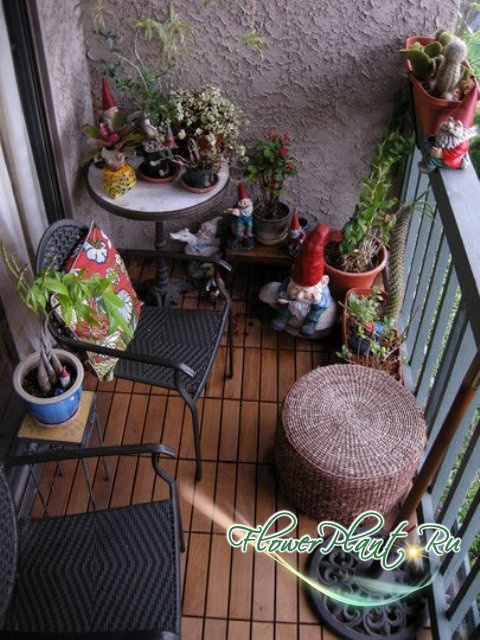 Прикрепленное изображение: balcony-plants-06_rect540.jpg