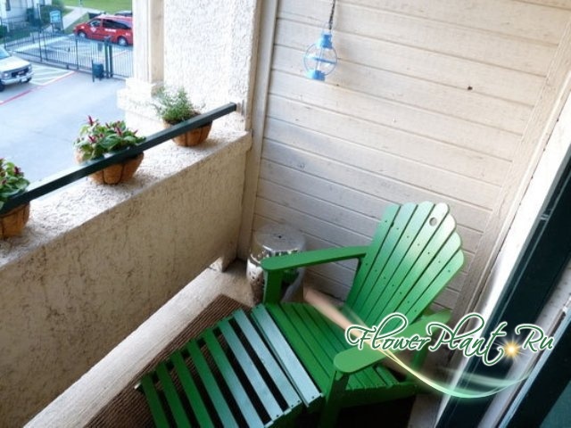 Прикрепленное изображение: balcony-plants-09_rect540.jpg
